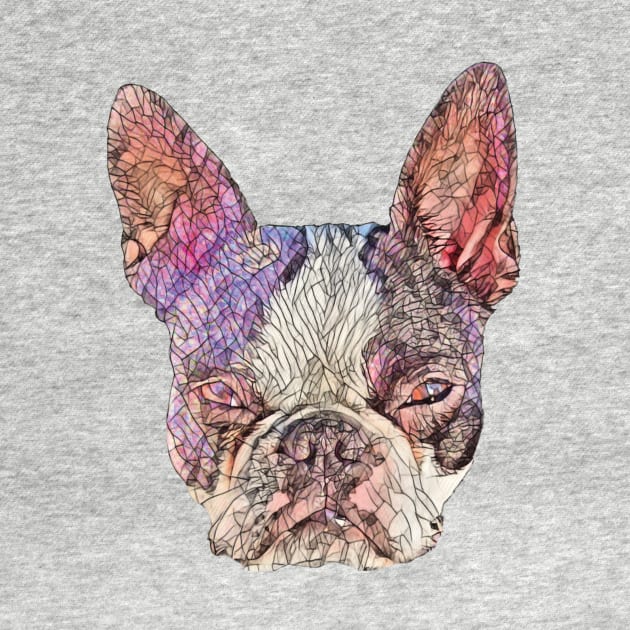 Boston Terrier by DoggyStyles